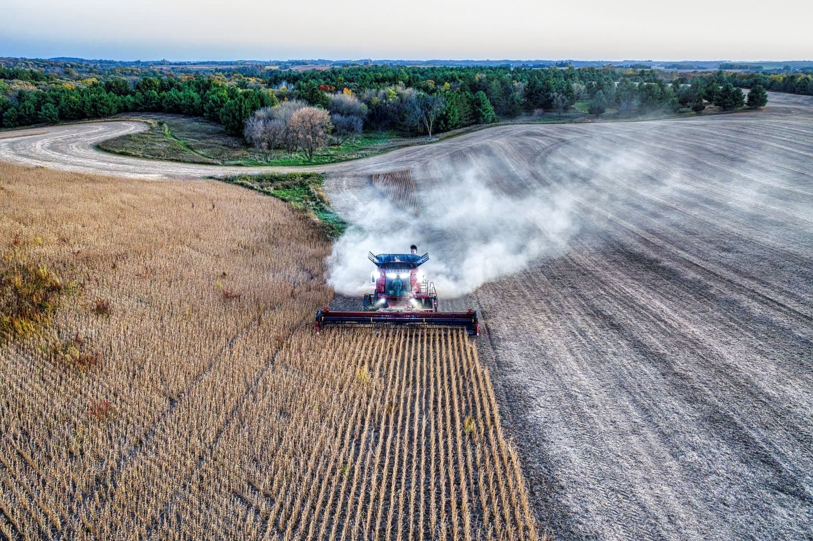 Rubro agropecuario y agronegocios